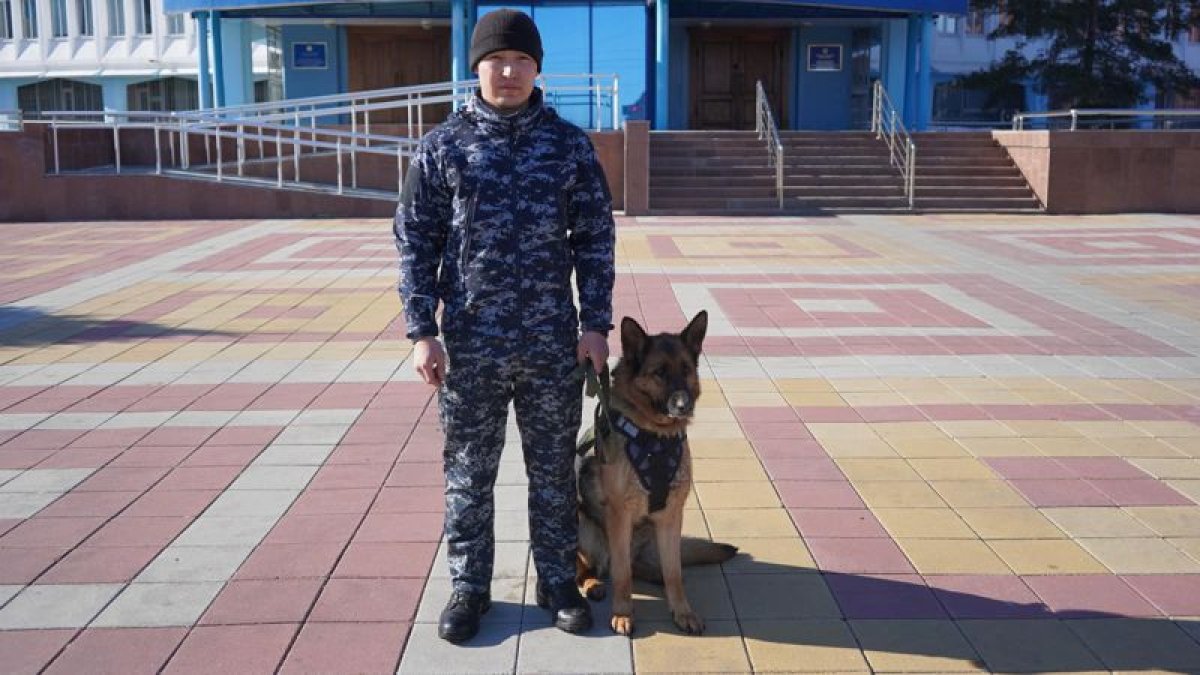 В Костанайской области полицейская собака помогла найти грабителя
