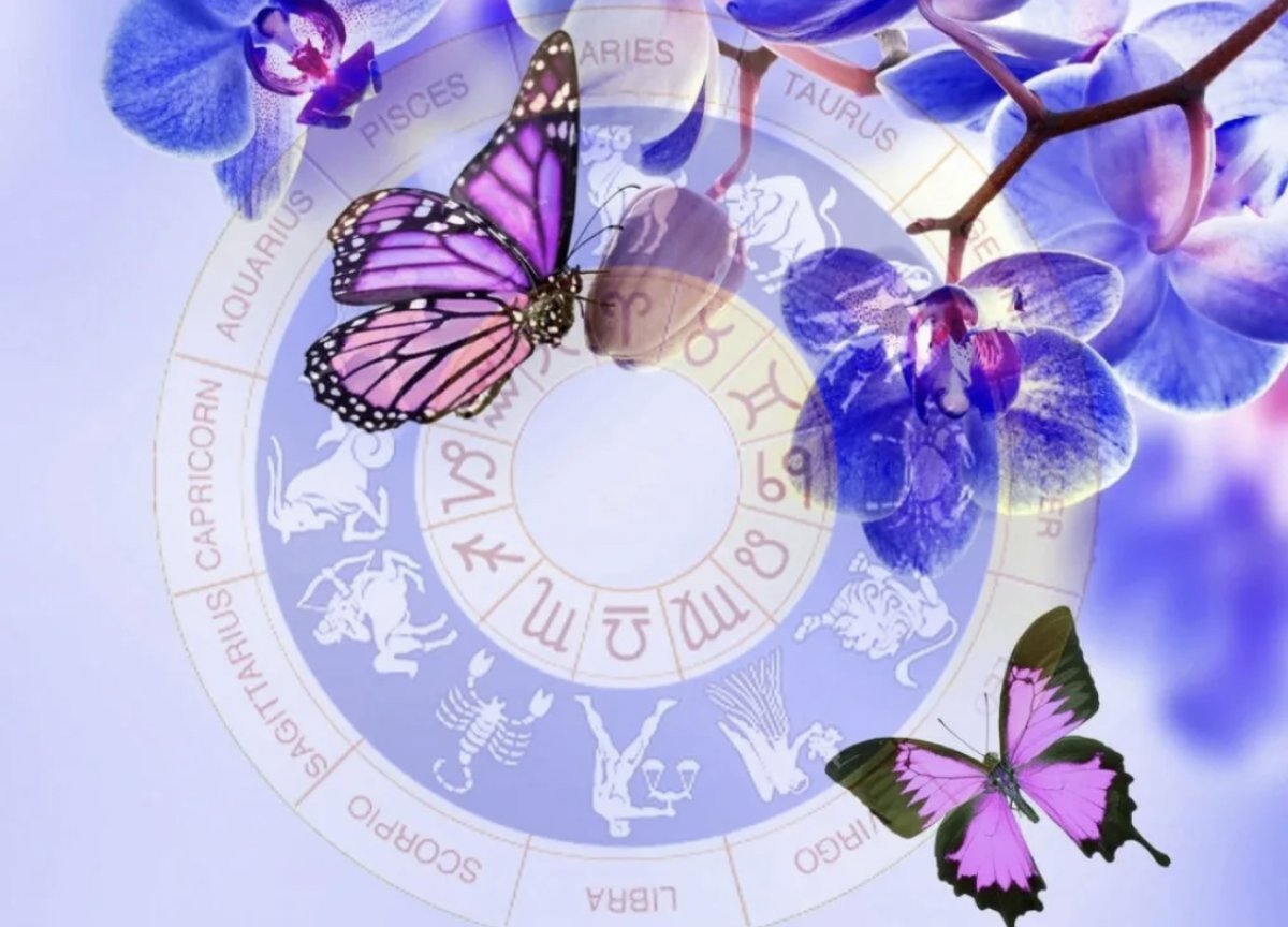 Козероги в гуще событий, у Тельцов приключения: самый точный гороскоп