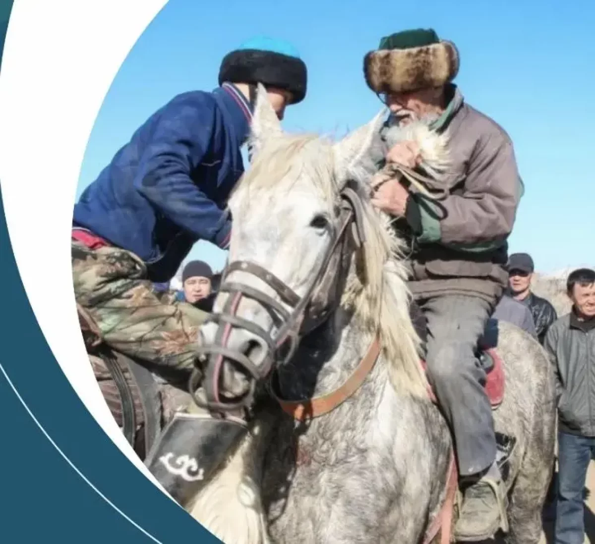 80 жастан асқан қария көкпардан қол үзген емес