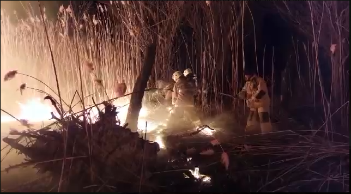 30 гектаров камыша загорелось в Атырауской области