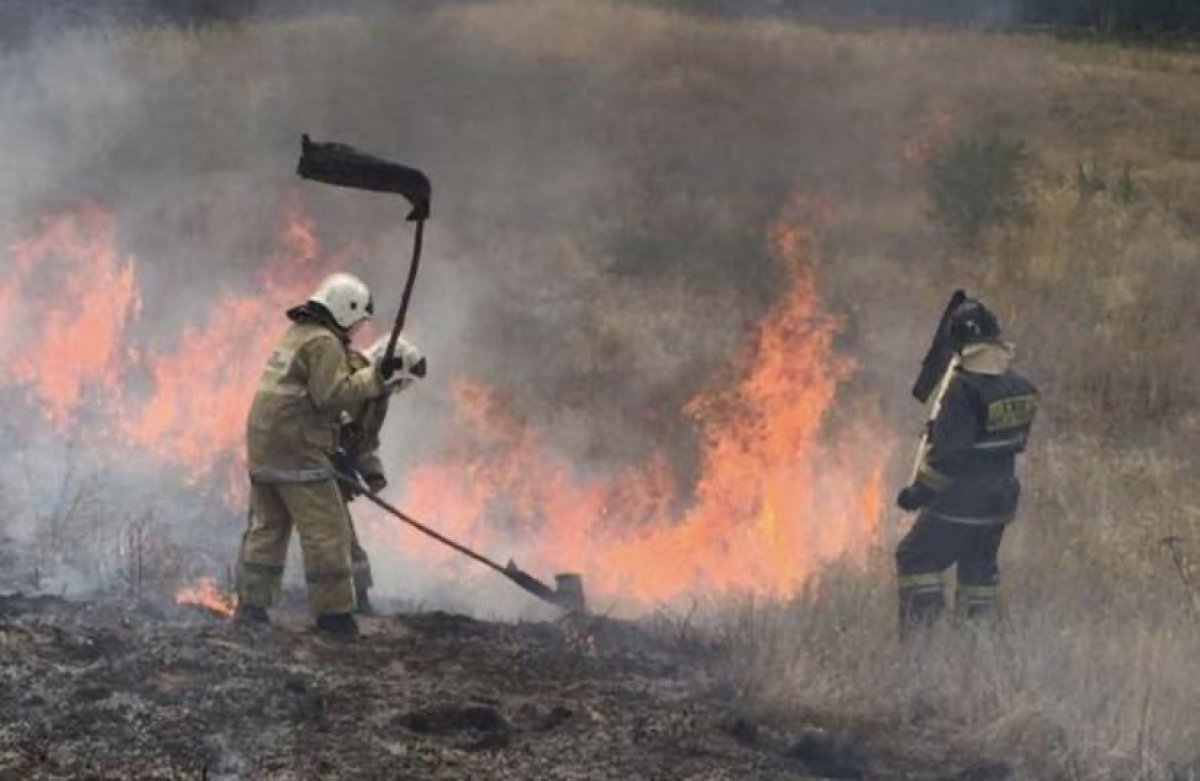 Склон горы горел в Алматы