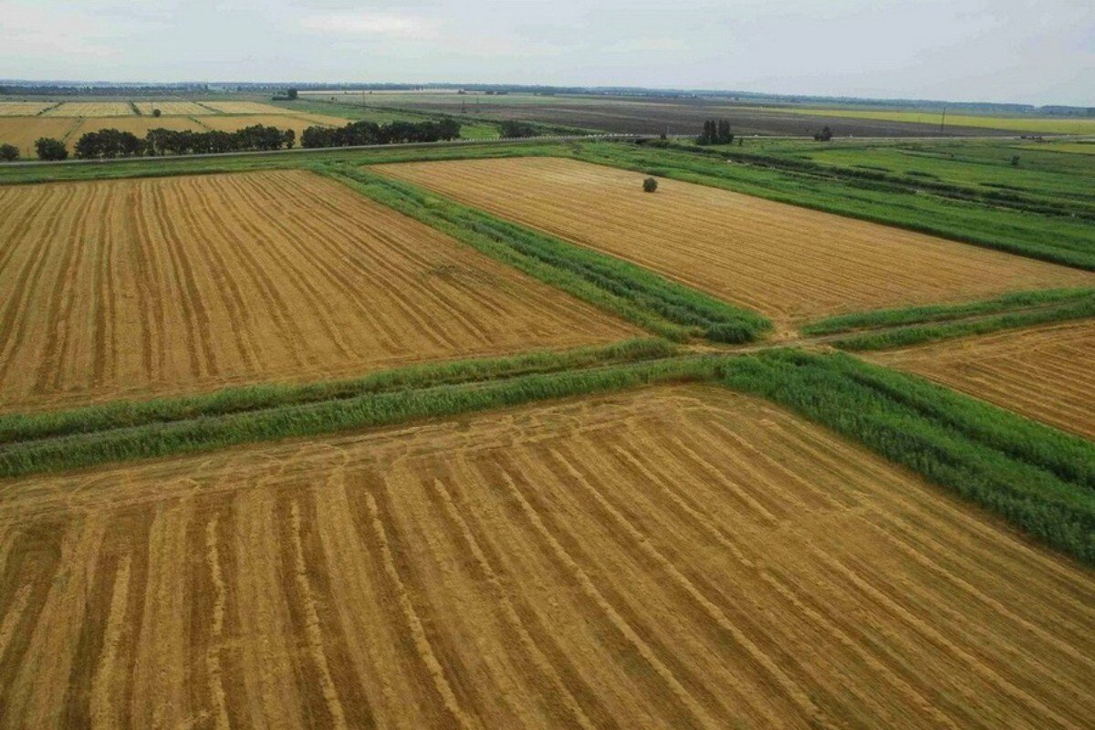 Агроөнеркәсіп кешені азық-түлік қауіпсіздігін қамтамасыз ету міндетін толық орындап отырған жоқ - Президент