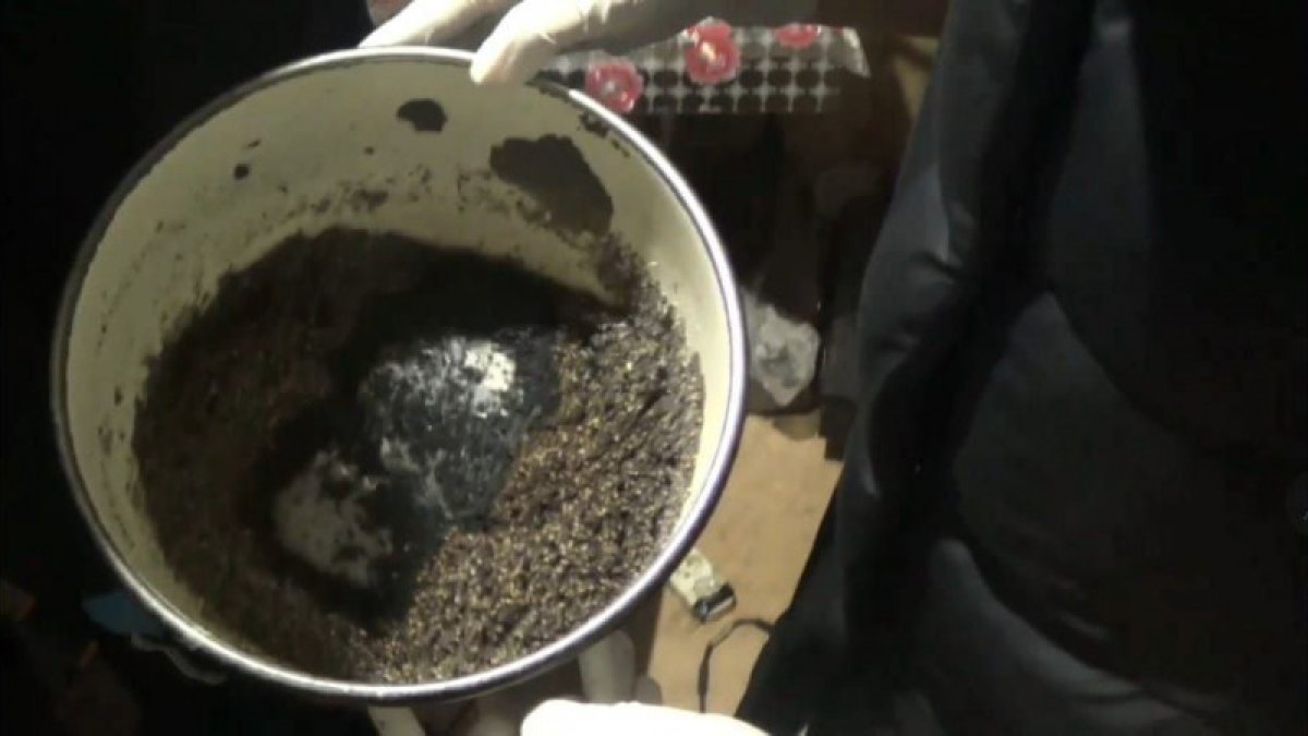 Павлодарда нашақорлар притоны әшкере болды