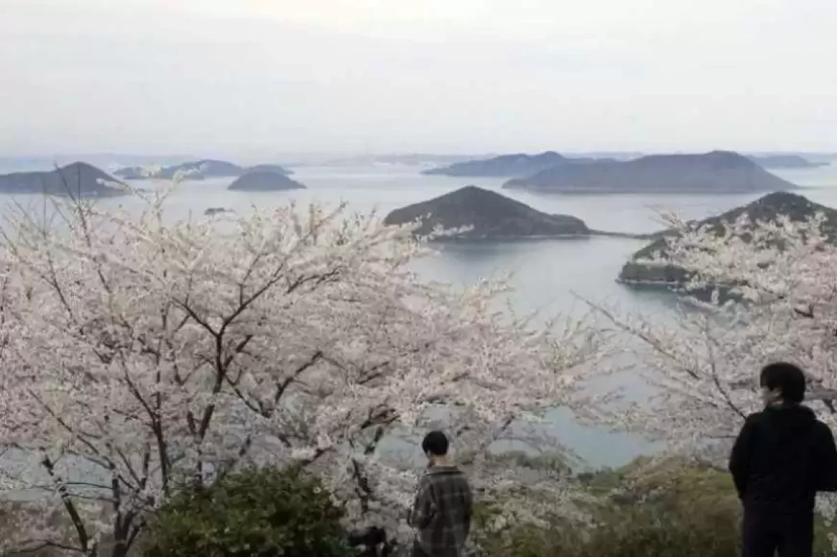 Жапонияда бұрын белгісіз болып келген жеті мың арал анықталды