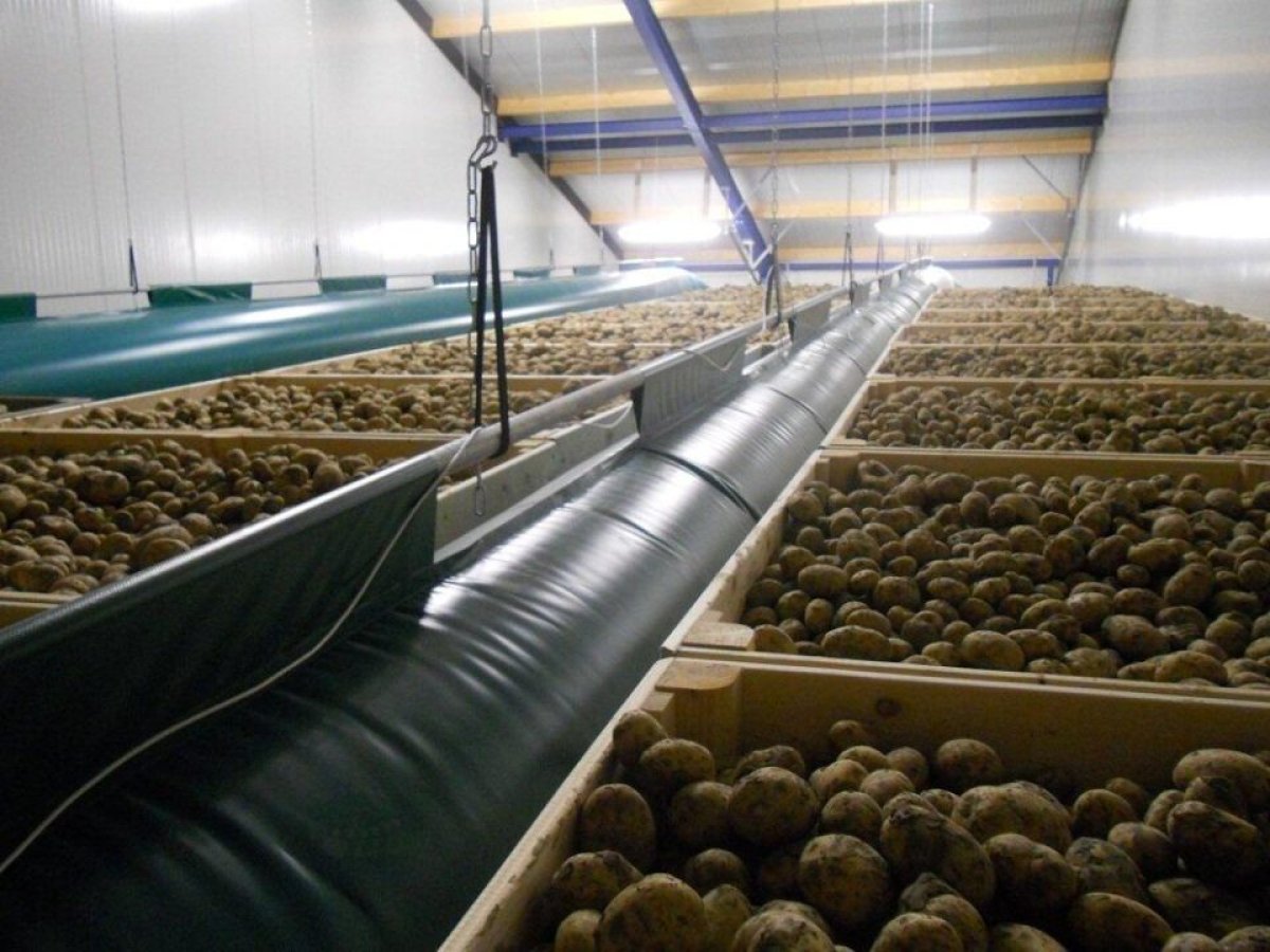 14 овощехранилищ введено в эксплуатацию в 2022 году