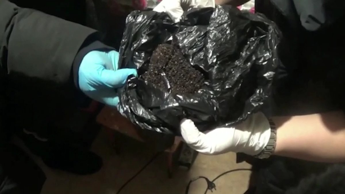 Наркопритон ликвидировали в Павлодаре