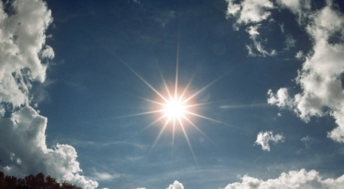 Не ленитесь, Львы, будьте бдительны, Овны: советы звезд на 30 марта