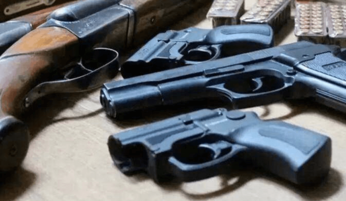 Жамбыл облысында төрт тәулік ішінде 21 қару тәркіленді