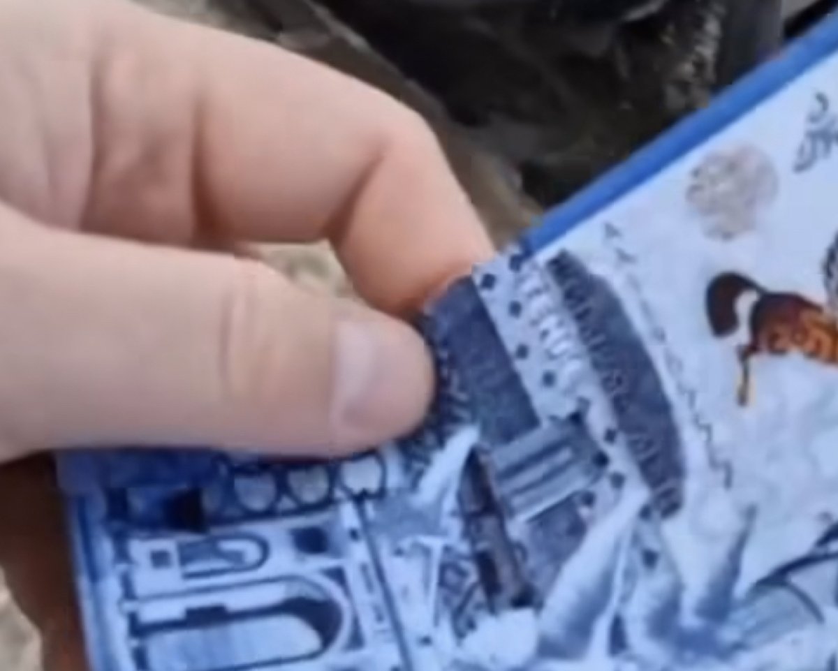 Денежный дождь в столице обсуждают в сети