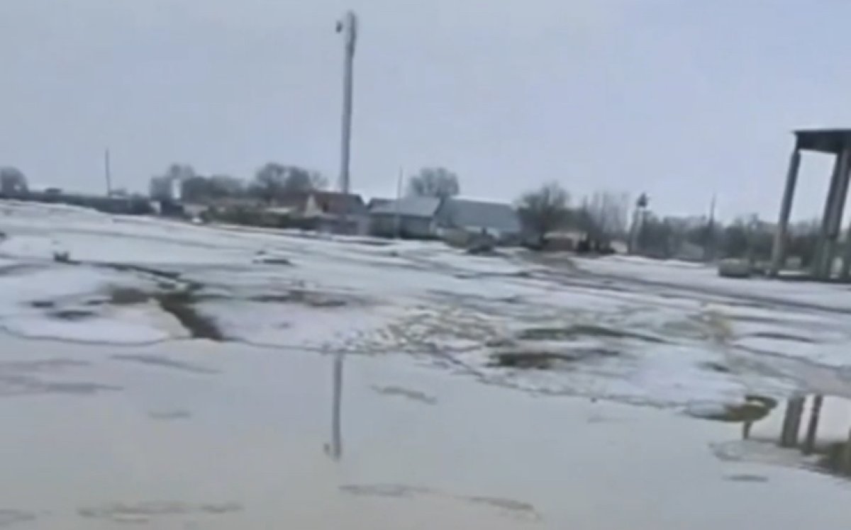 В область Жетысу пришла большая вода