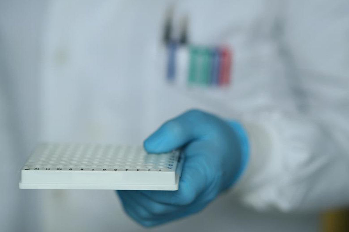 Из-за ящура в Турции вводят карантин