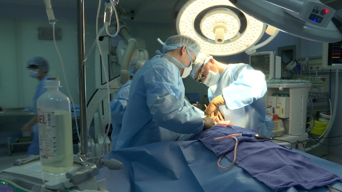 Разрешить продажу почек предложили в Казахстане