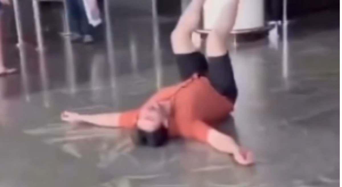 Какая боль! Мужчина, потерявший собак в аэропорту, стал звездой соцсетей