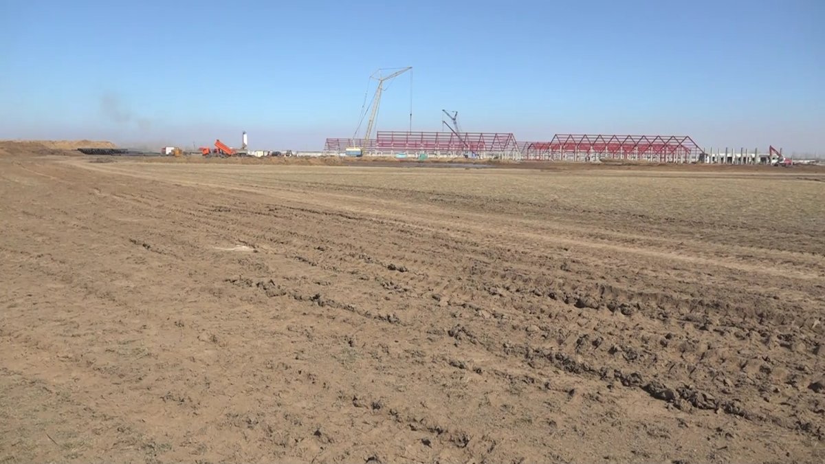 Павлодар облысында әкімдік ауылдың жайылымдық жерін жеке кәсіпкерге беріп жіберген