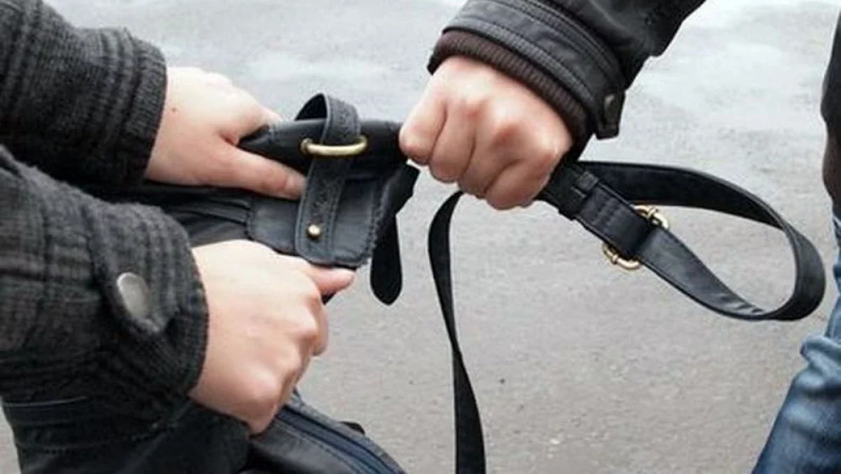 Астаналық 14 жастағы оқушы қарақшыны ұстауға көмектесті