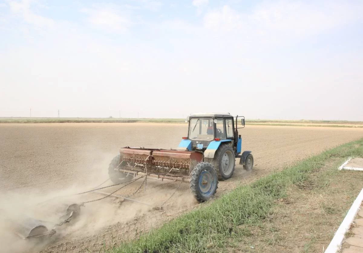 Абай облысында жасөспірім трактордың шөп орау прессінің арасына қысылып, қаза тапты