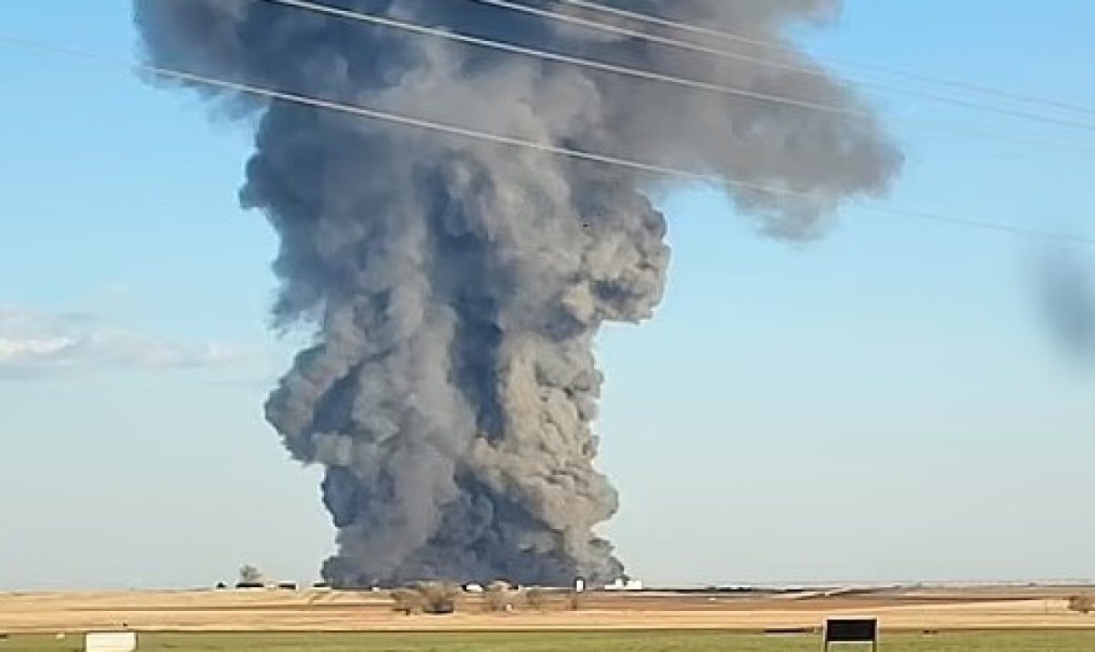 18 тысяч коров убил взрыв на ферме в США