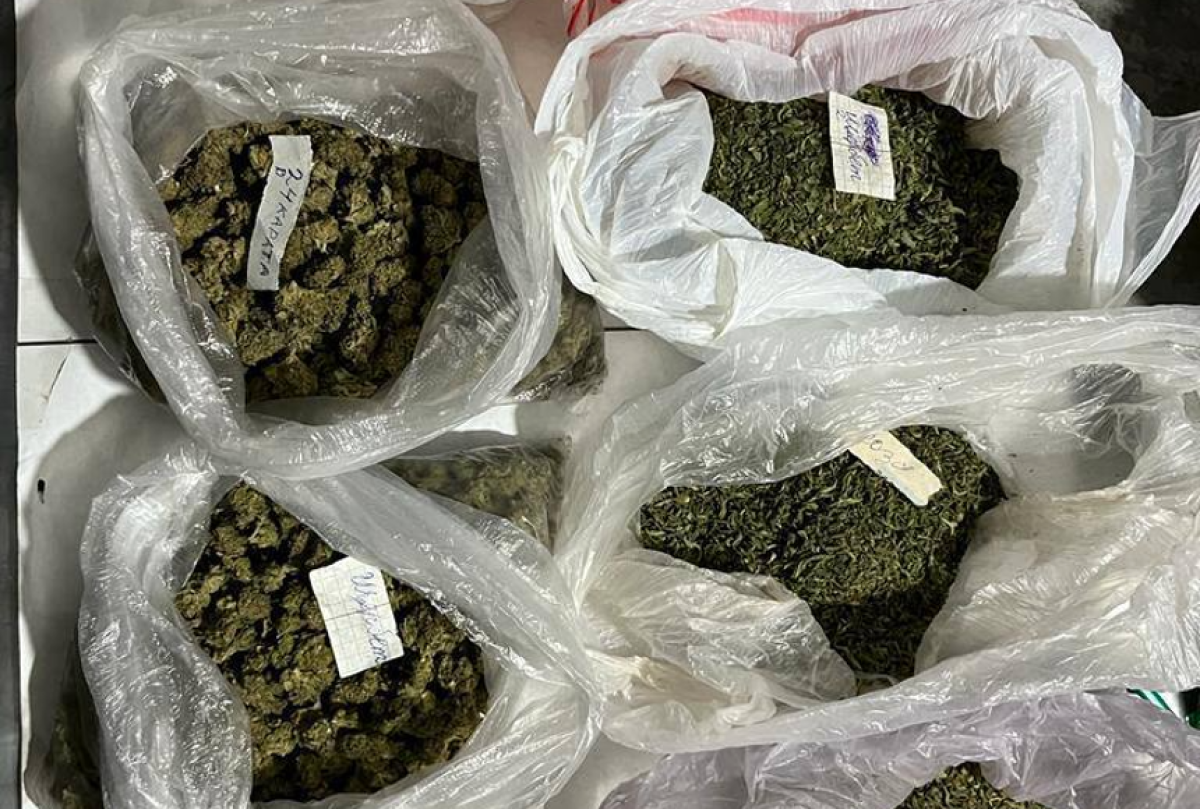 Жамбылда марихуана сақтаған 55 жастағы ер адам ұсталды