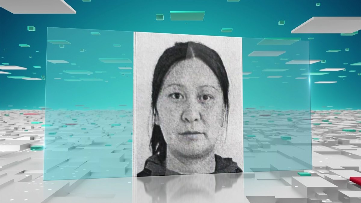 Женщина ушла в метель искать скот и пропала в степи под Экибастузом