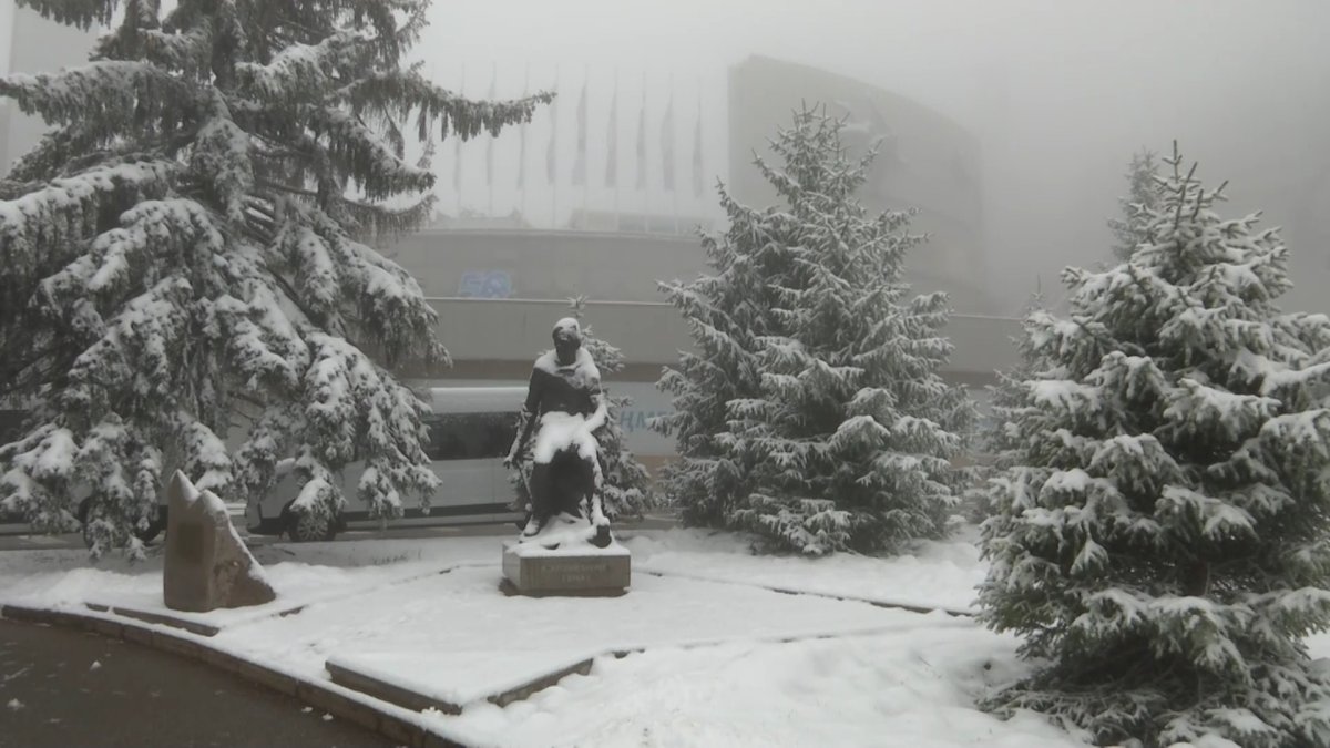 Снегопад в Алматы позабавил горожан