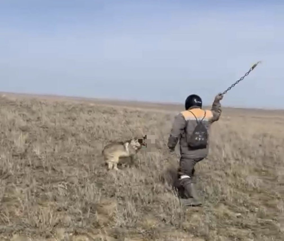 Житель Актюбинской области забил волка