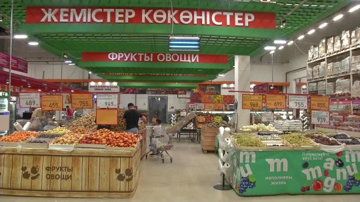 "Үкіметтің әрекеті бағаны тұрақтандыруға қауқарсыз",- Президент.