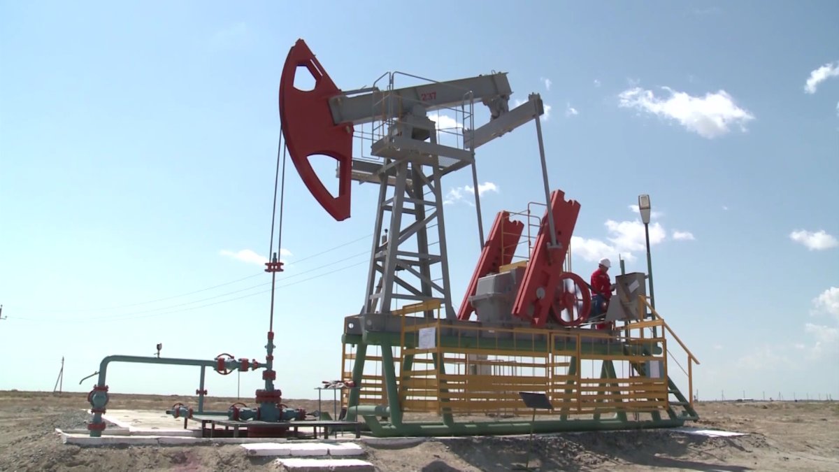 Проблема водоснабжения, безработица и поддержка предпринимателей: Токаев о развитии регионов