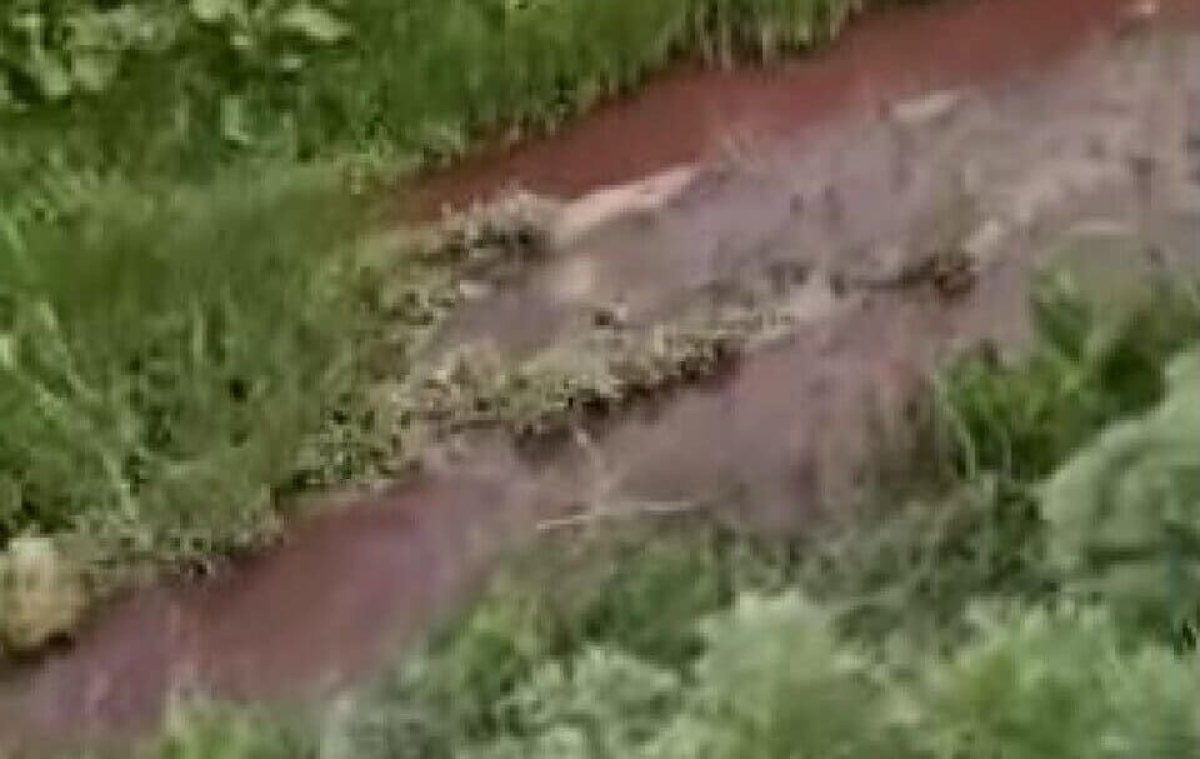 Кровавой водой орошают поля в Туркестанской области