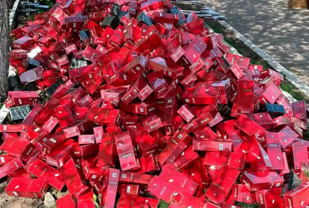 Қырғызстаннан елге 20 мың қорап темекіні заңсыз кіргізбек болғандар ұсталды