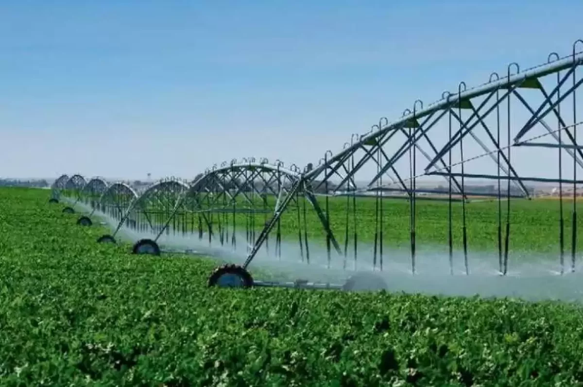 Сенатор оңтүстіктегі өңірлердің егіс суаратын жүйелерін жетілдіруге қосымша қаражат сұрады