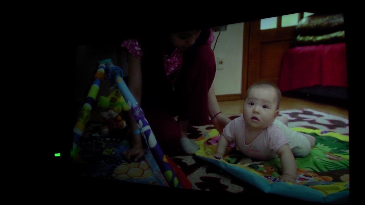 Қарады да, жұлқылады