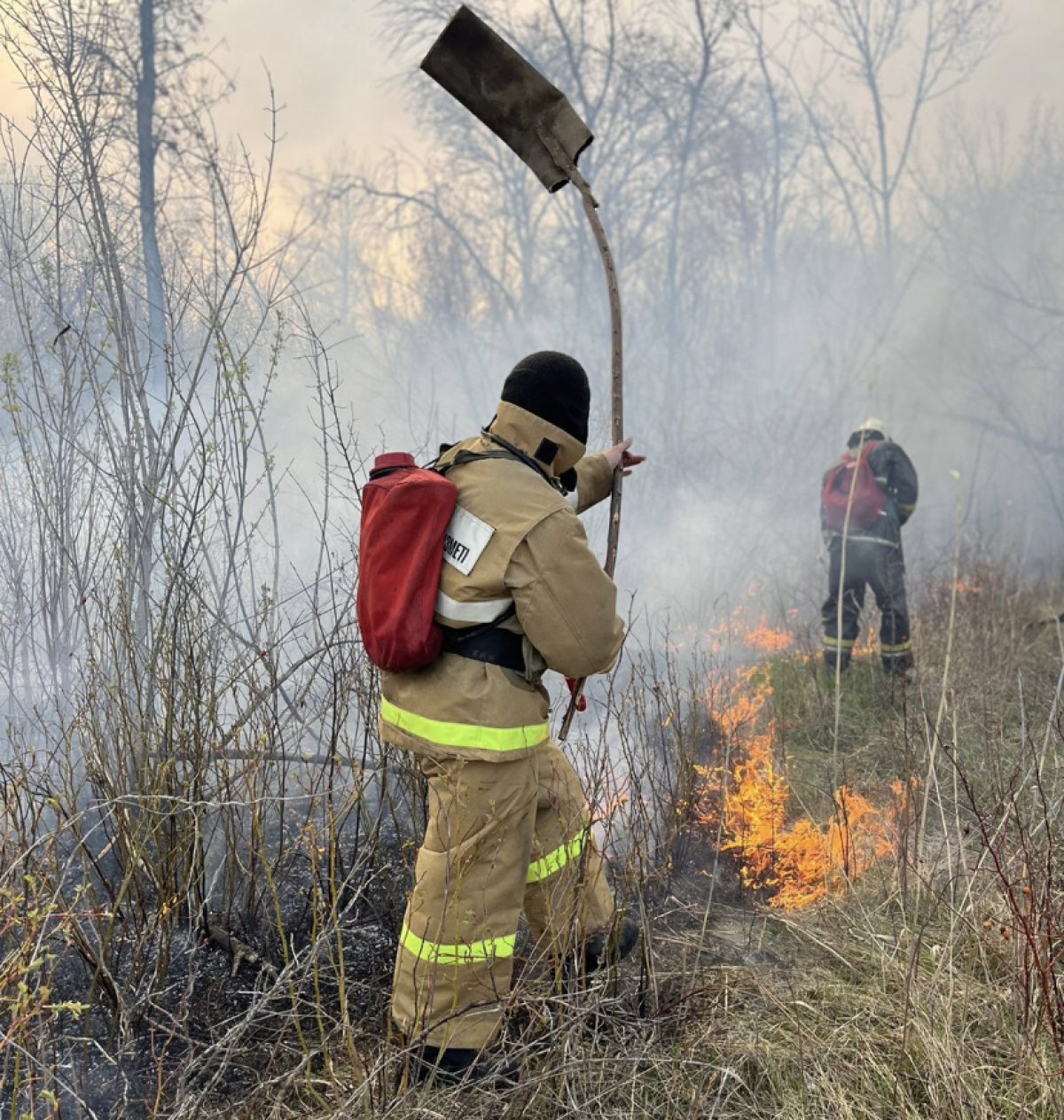 Пожар в роще на западе страны: к ликвидации подключились огнеборцы МЧС РК