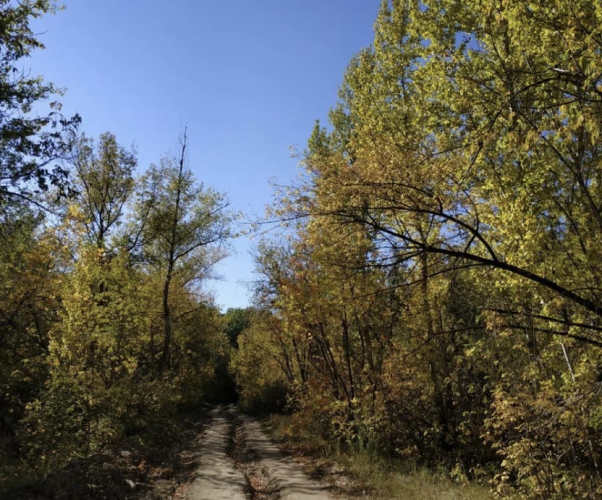 Пожар в роще под Уральском тушили больше суток
