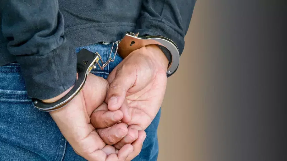 «Тамстер» порно фильмін онлайн көріңіз