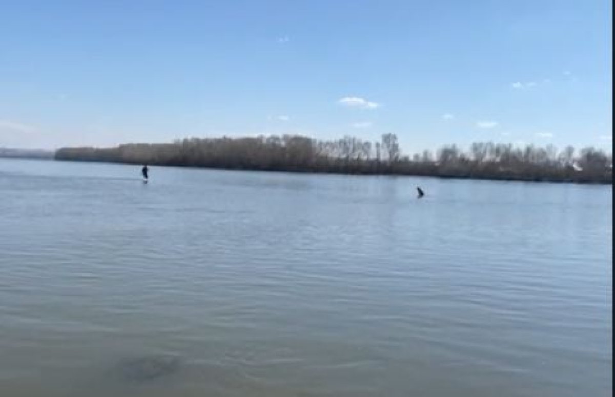 Поругался с девушкой и пытался покончить с собой житель Усть-Каменогорска