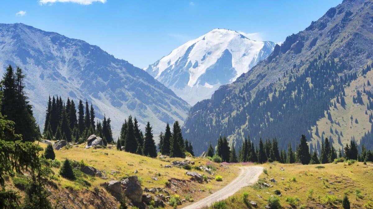 Алматы тауларына блокбекеттер қойылды