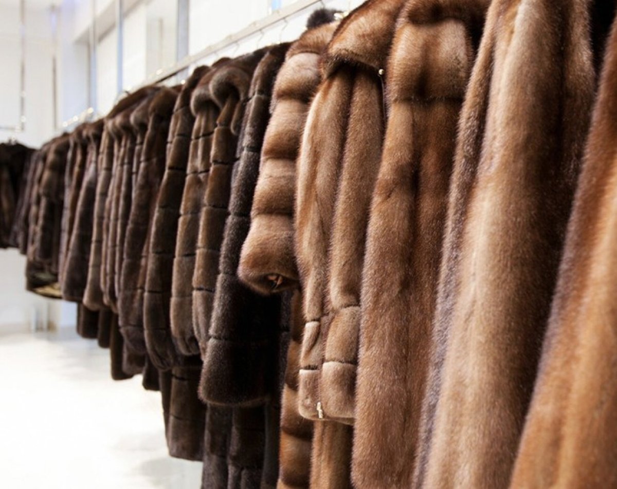 Несуществующих шуб на 4 миллиона тенге продал астанчанин