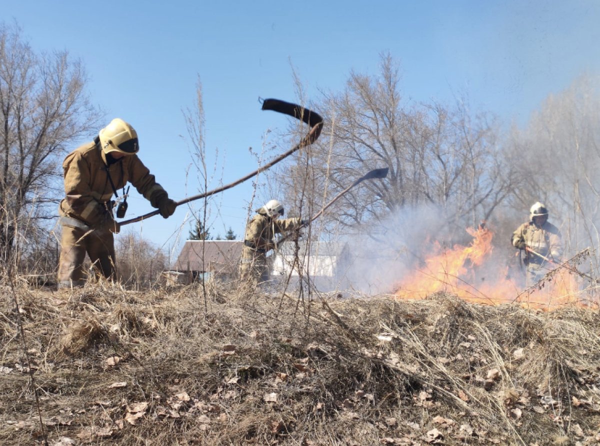 Пожары полыхают на востоке страны