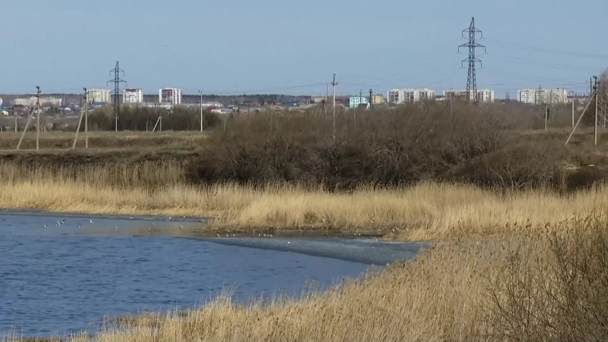 «Форточки не открываем»: жители Петропавловска задыхаются от зловония
