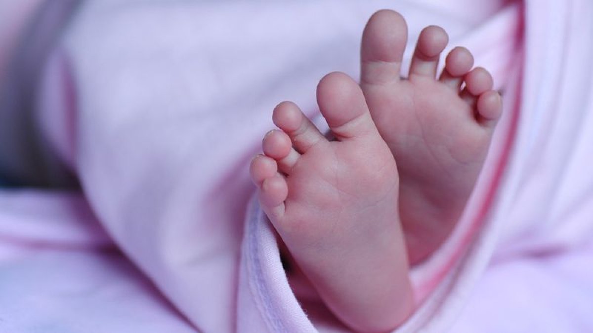 Оралда қоқыстан пакетке оралған шақалақ табылды