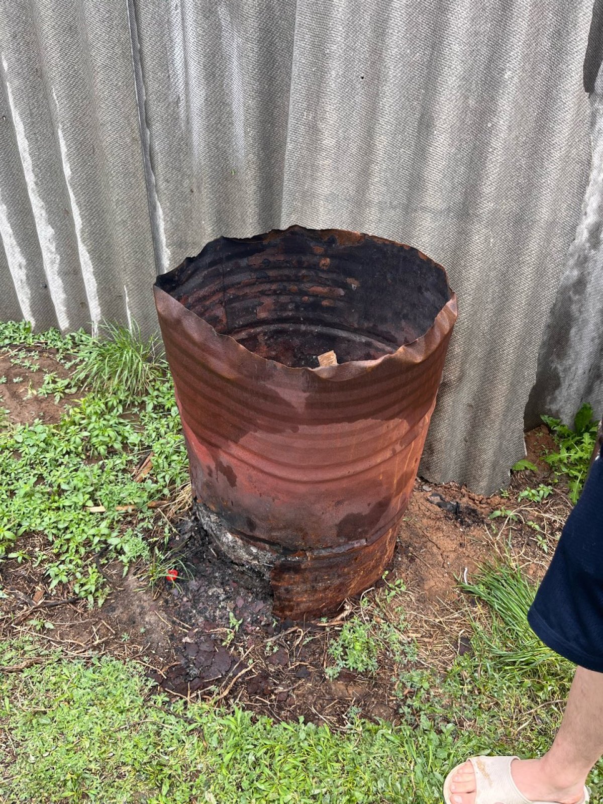 "Қорқып кетіп, туысымды шақырдым": Оралда қоқыс жәшігінде жатқан шақалақты төсеніш қағуға шыққан әйел тауып алған