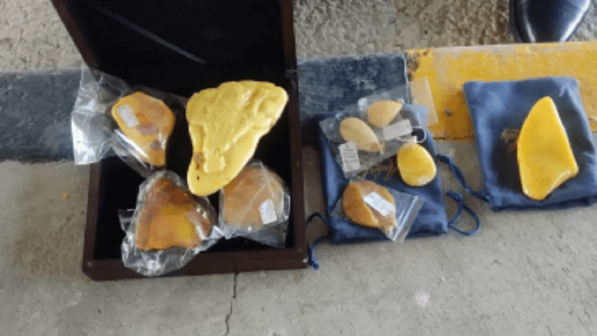 Қазақстаннан Қытайға ірі көлемде бағалы тас алып өтпек болғандар ұсталды