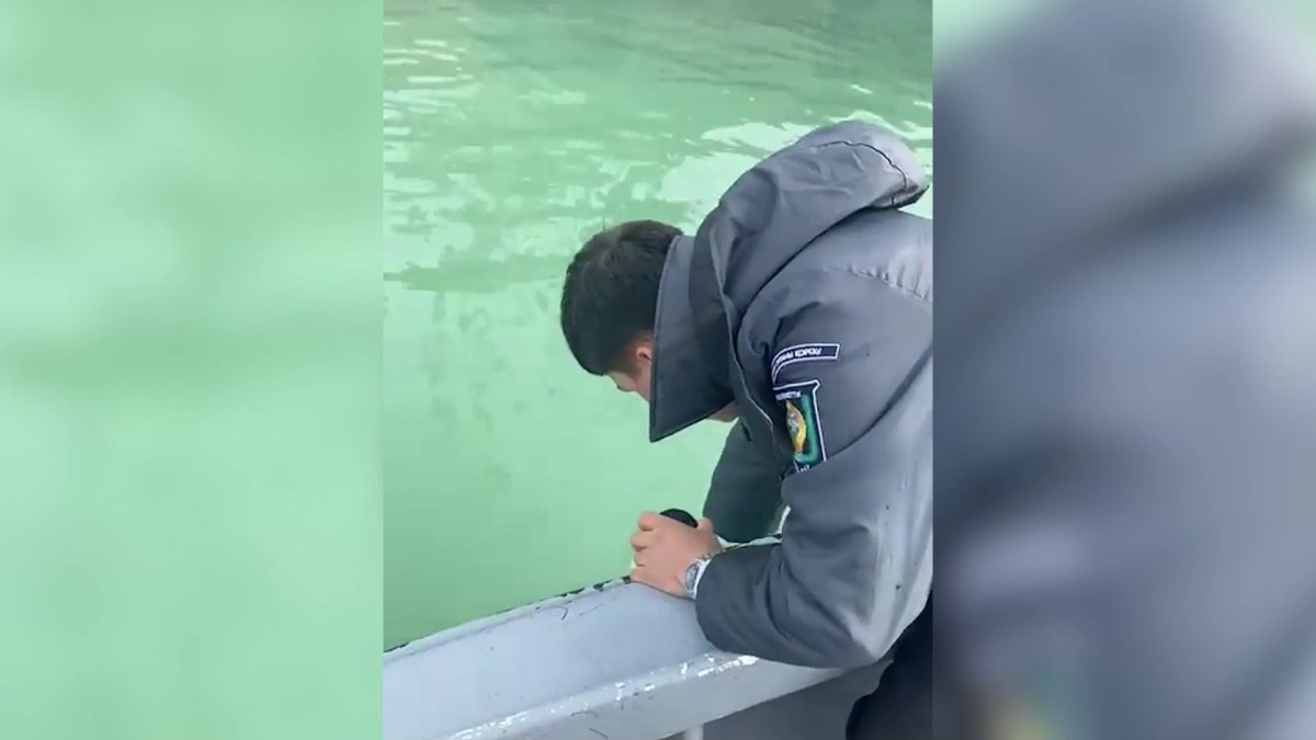 Разлива дизтоплива на Каспии: причину выясняют мангистауские экологи