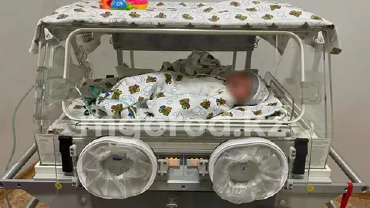 Шақалақты қоқыс жәшігіне тастап кеткен: Оралдық келіншектің тағы үш баласы бар екені белгілі болды