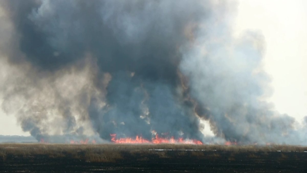 Крупное возгорание камыша едва не уничтожило село в СКО