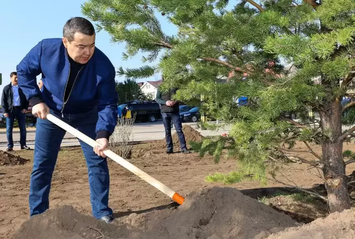 Әлихан Смайылов бастаған Үкімет аппараты бүгінгі сенбілікте жүзден аса тал екті