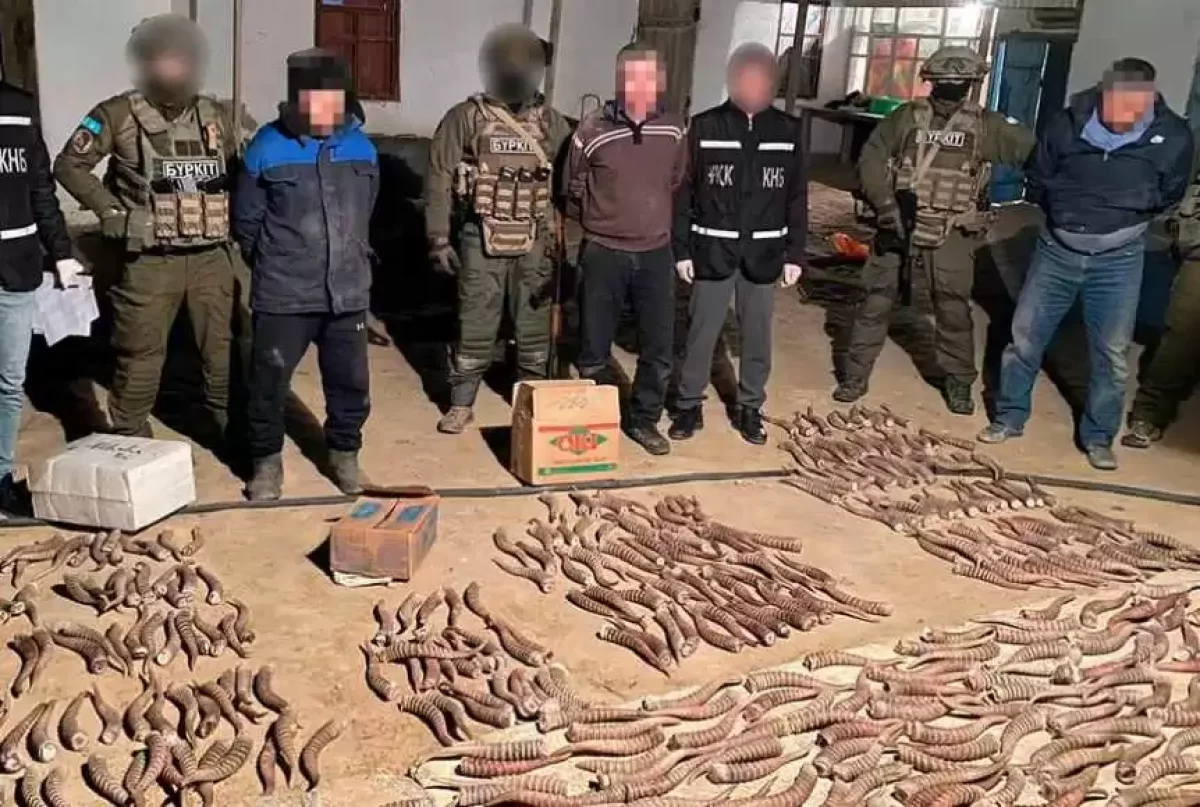 100 келіден аса киік мүйізін сатып тұрған аралдық ұсталды