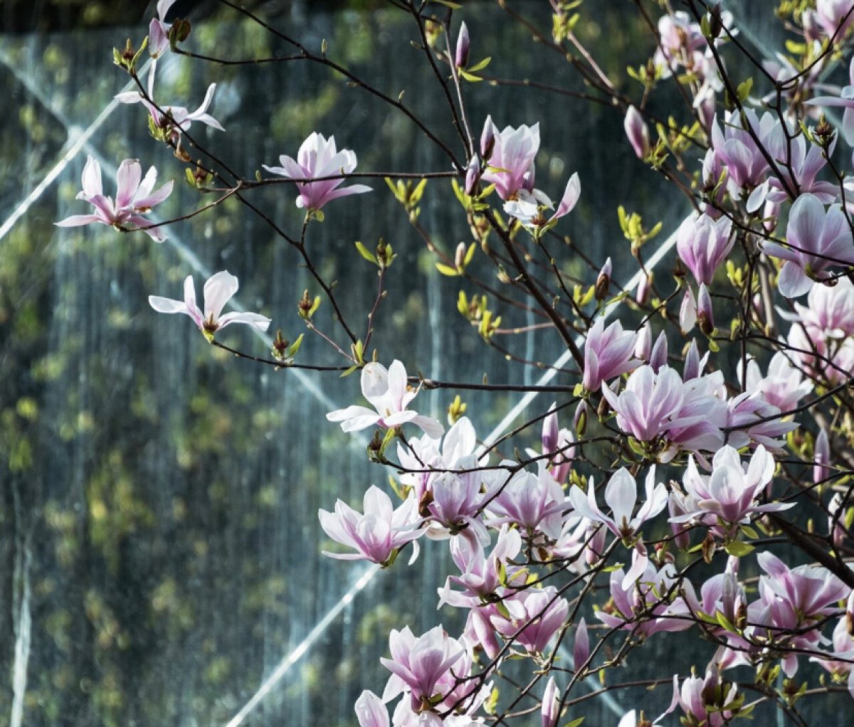 Сюрприз ждёт Стрельцов, уход от прошлого - у Водолеев: гороскоп на 30 апреля