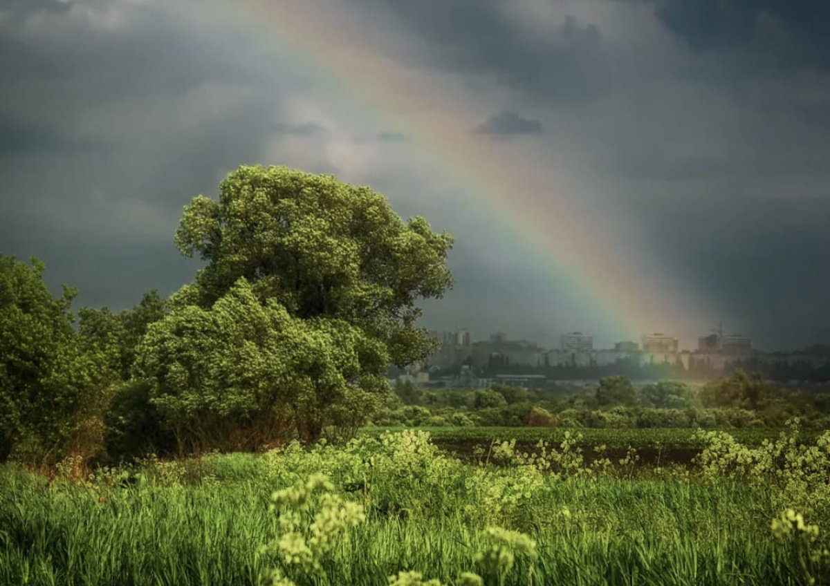 Жара, грозы, град и пыльные бури: появился прогноз на май