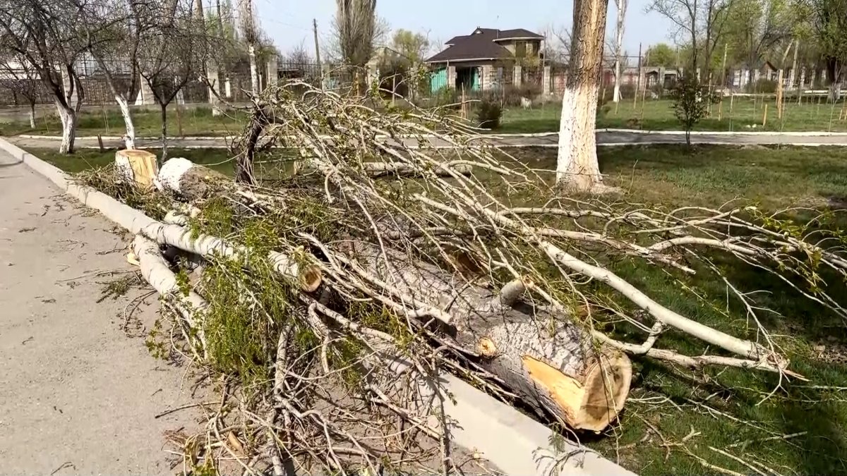 Жамбылда жойқын желден 6 ауыл жарықсыз, екі ауыл газсыз қалды